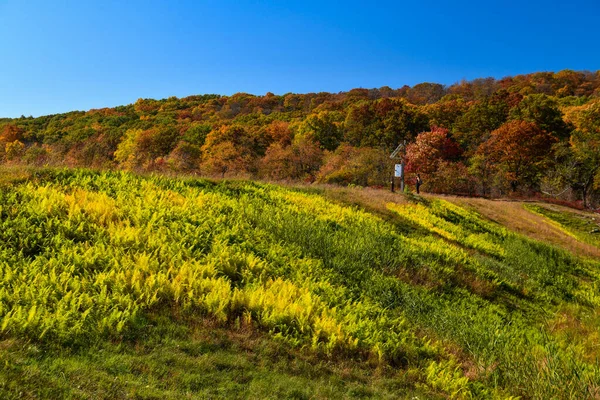 Jesienny Krajobraz Słoneczny Dzień Parku — Zdjęcie stockowe