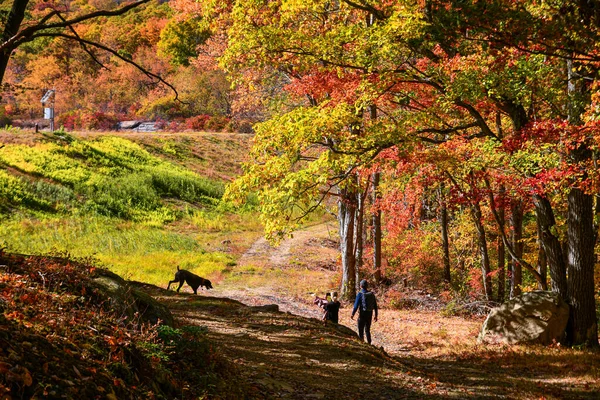 在秋天的公园里 在美丽的阳光灿烂的十月里徒步旅行 — 图库照片