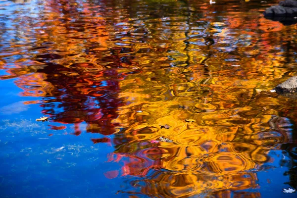 Blauwe Lucht Kleurrijke Bomen Reflecties Het Meer Tijdens Herfst Gebladerte — Stockfoto