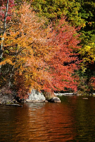 Πολύχρωμα Φθινοπωρινά Δέντρα Και Λίμνη Harriman State Park Νέα Υόρκη — Φωτογραφία Αρχείου