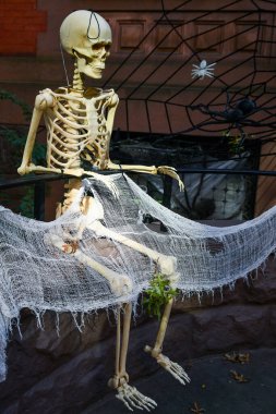 Açık havada cadılar bayramı dekorasyonu için iskelet, örümcek ve ağ.