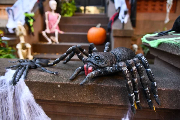 蜘蛛和蜘蛛网作为可怕的万圣节装饰品 — 图库照片