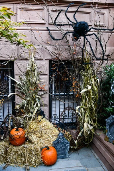 Decorações Halloween Livre Criativas Esqueleto Aranha Abóboras — Fotografia de Stock