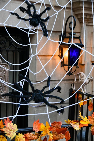 Decorações Halloween Livre Criativas Aranhas Teia Esqueleto — Fotografia de Stock