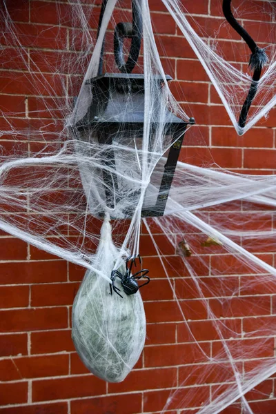 Decorações Livre Para Halloween Aranha Teia — Fotografia de Stock