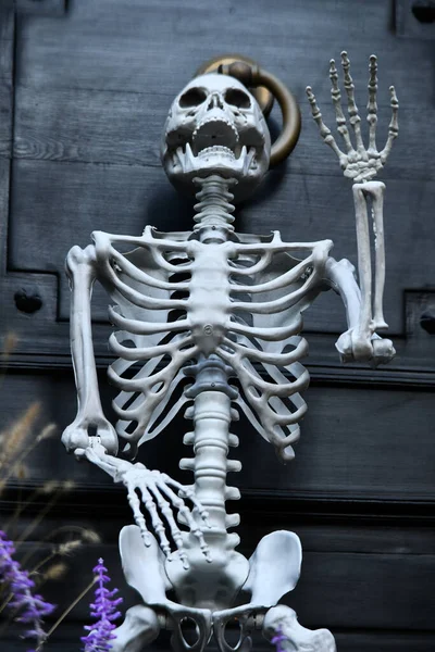 Скелет Межами Будинку Прикраси Хелловін — стокове фото