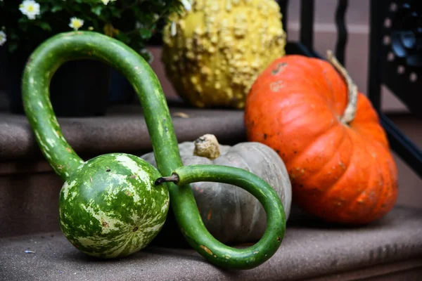 Zucche Decorative Assortite Sulle Scale Fuori Casa Celebrazione Halloween — Foto Stock