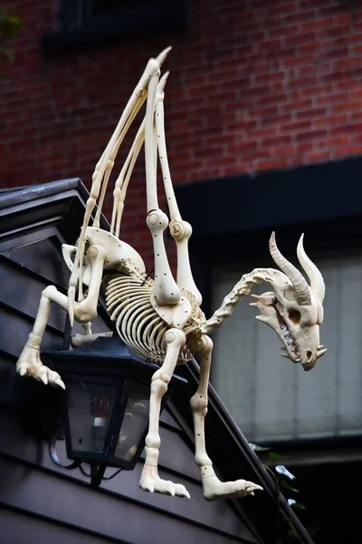 Szkielet Zewnątrz Domu Jako Dekoracje Halloween — Zdjęcie stockowe