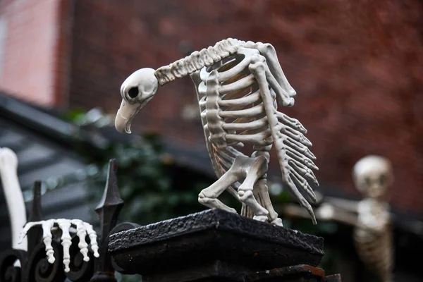 Skeleton House Halloween Decorations — Stock Photo, Image