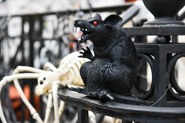 Läskig Svart Råtta Med Röda Ögon Som Utomhus Halloween Dekoration — Stockfoto