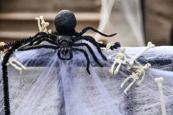 Aranha Teia Esqueletos Como Decorações Halloween Livre — Fotografia de Stock