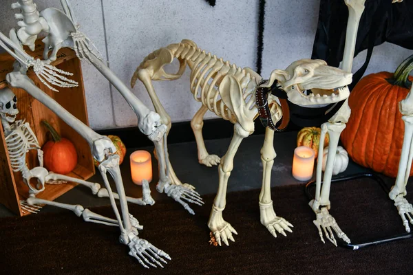 Outdoor Halloween decorations. Skeletons and pumpkins.