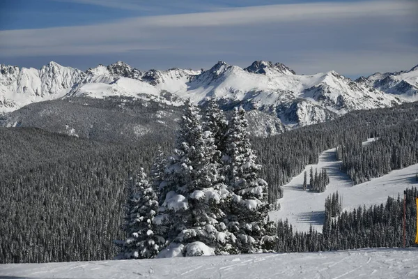 Breathtaking Top View Snow Capped Peaks Colorado Rockies Winter Vail — Stock Photo, Image