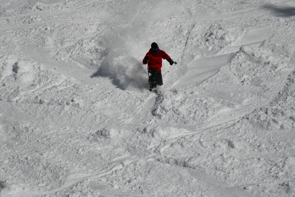 Freeride Skier Skiing Downhill Trough Fresh Snow Powder — Foto Stock