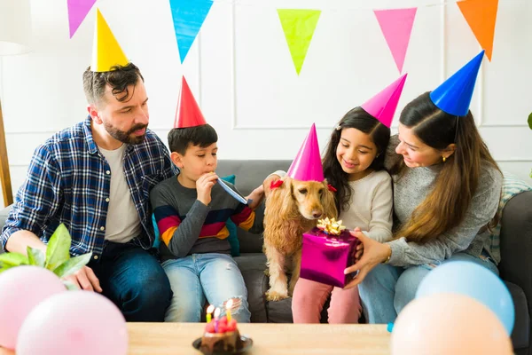 Cheerful Family Little Kids Giving Presents While Celebrating Cocker Spaniel — Stock Photo, Image