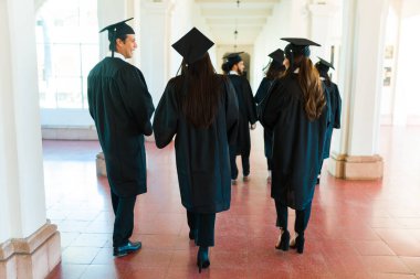 Cheerful college graduates seen from behind walking to their graduation ceremony to get university diplomas