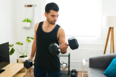 Active handsome man in his 20s doing bicep curls while lifting dumbbell weights and exercising at home