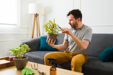 Yakışıklı beyaz adam, yeşil bitkileriyle ilgilenirken bahçeyle uğraşmaktan zevk alıyor.