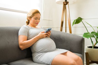 Çekici bir kadın oturma odasında otururken hamileliğini takip etmek için mobil uygulama kullanıyor.