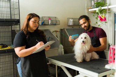 Evcil hayvan bakıcısı, kaplıcadaki beyaz, güzel bir köpeğe bakım ve saç kesimi hakkında bir işçiyle konuşuyor.