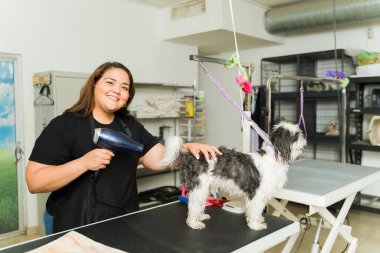 Gülümseyen mutlu bir kadın, spa dükkanında temiz, şirin bir shih tzu köpeğinin saçını kuruturken göz teması kuruyor.
