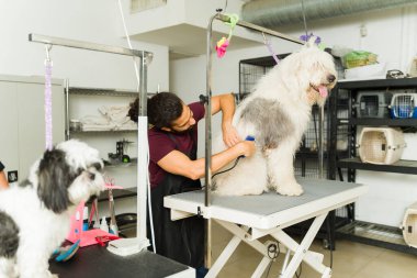 Genç adam, kaplıcada saç kesiminden sonra saçını tarayan profesyonel bir kuaför olarak çalışıyor.