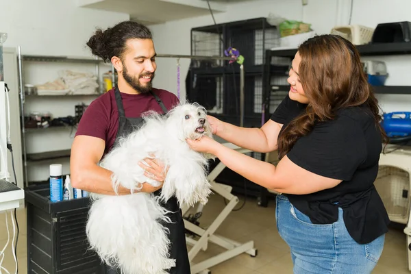 Ισπανόφωνος Εργάτης Και Καθαριστής Κατοικίδιων Ζώων Έτοιμος Κουρέψει Μαλλιά Ενός — Φωτογραφία Αρχείου