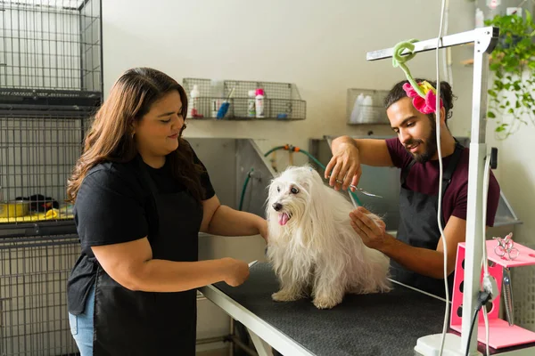 Joven Mujer Hombre Trabajando Como Peluqueros Cortando Pelo Una Adorable — Foto de Stock