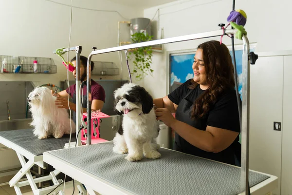 Happy Dog Groomers Trabajando Spa Cuidado Mascotas Recortando Pelo Hermosos —  Fotos de Stock