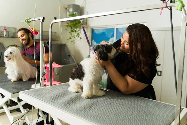 Λατίνοι Καθαριστές Σκύλων Που Εργάζονται Μαζί Ενώ Κόβουν Και Κουρεύουν — Φωτογραφία Αρχείου