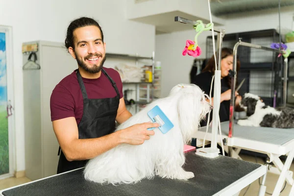 Веселый Счастливый Работник Парикмахерской Расчесывающий Волосы Белого Мальтийского Питомца Собачьем — стоковое фото