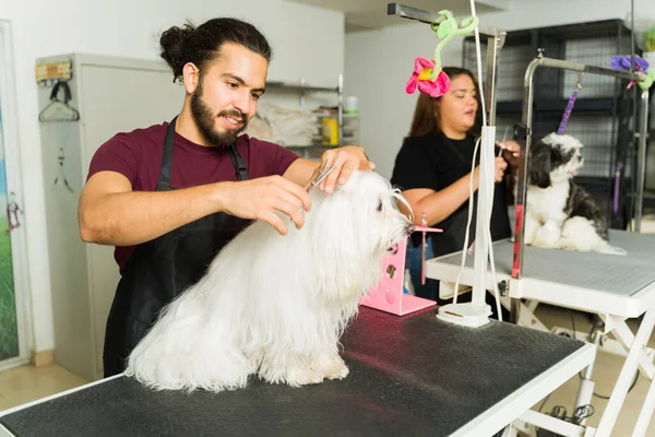 犬のグルーマーとして働いている間 美しい白いモルト犬の髪を切ってトリミングする幸せな労働者 — ストック写真