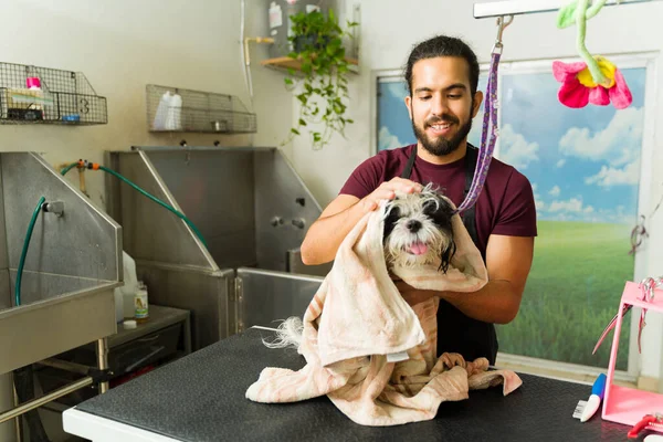 Guapo Latin Pet Groomer Secado Limpieza Con Una Toalla Hermoso —  Fotos de Stock