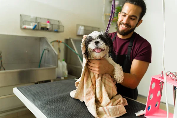 Αξιολάτρευτο Σκυλί Shih Tzu Καθαρό Μετά Από Ένα Μπάνιο Έτοιμο — Φωτογραφία Αρχείου