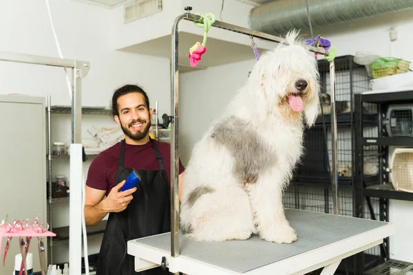 カメラを見て ボブテール犬とペットグルーミングサービスで働きながら笑顔のプロのペットグロマー — ストック写真
