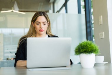 Kafkasyalı güzel bir kadın işine odaklanıyor ve bir ofiste dizüstü bilgisayarına bakıyor.