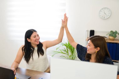 İki Kafkas bayan meslektaşı, başarılı bir başlangıç veya ortaklık dönüm noktasını kutlamak için parlak bir ofis ortamında beşlik çakıyor.