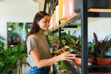 Neşeli genç bir kadın yeşillik dolu bir mağazanın rafından bir bitki seçiyor.