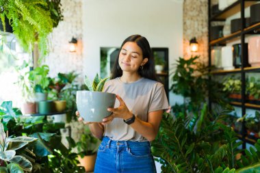 Genç Latin kadın, yemyeşil çiçeklerle çevrili bir bitki dükkanında yılan otunu tutarken gülümsüyor.