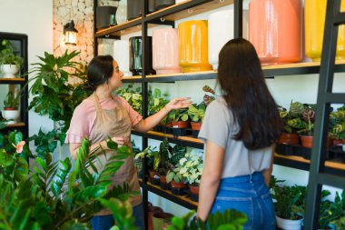 Dost canlısı işçi, müşterilere hoş bir bitki dükkanında yardımcı oluyor. Hoş bir alışveriş deneyimi için çeşitli yemyeşil bitkiler sunuyor.