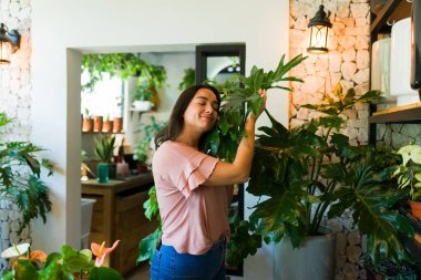 Latin bir kadın bir bitki dükkanında bir canavarı kucaklıyor, onun güzelliğinin ve tazeliğinin tadını çıkarıyor.