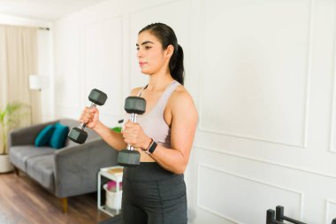 Atletik kadın evde oturma odasında çalışırken halterlerle biseptik kıvrımlar yapıyor.