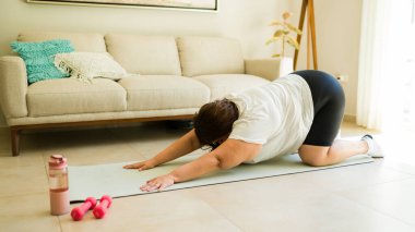 Büyük beden kadın oturma odasında çalışıyor ve yoga yaparak esnekliğini geliştiriyor.