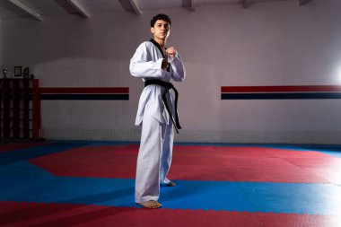 Tam boy İspanyol adam tekvando antrenmanı yapıyor. Dobok ve siyah kuşak takıyor, dövüş pozisyonunda dojo 'da poz veriyor.