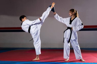 İki dövüş sanatçısı tekvando çalışıyor, biri yüksek bir vuruş yaparken diğeri hedefi tutuyor.