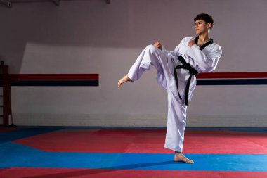 Gençler hareketli bir dövüş sanatları salonunda yoğun bir eğitim sırasında dinamik tekvando tekmeleri deniyor.