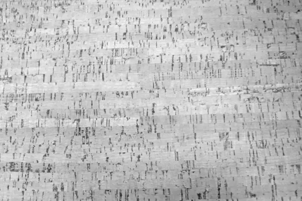 Duvarın Gri Dokusu Veya Kağıt Yüzeyi Arkaplan — Stok fotoğraf