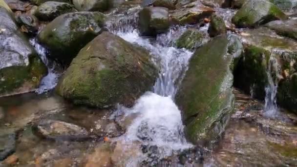 Κρύο Νερό Ρέει Μέσα Από Τις Πέτρες Ορεινό Ποτάμι — Αρχείο Βίντεο