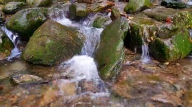 Ormanda yeşil yosun olan taşların üzerindeki akıntının manzarası. Doğa geçmişi. Meditasyon, rahatlama. Doğayla baş başa.