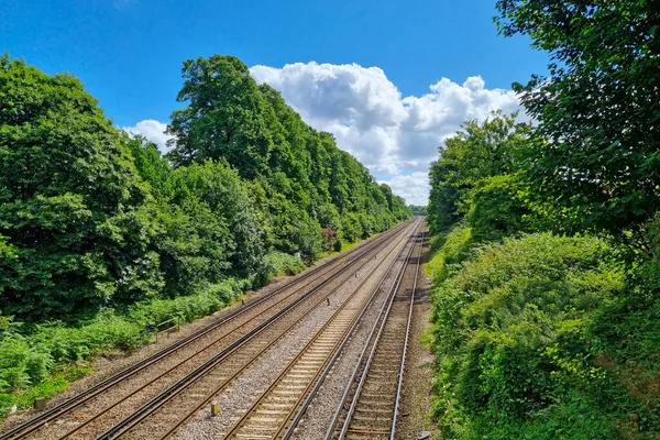 緑の茂みに沿って鉄道線路の眺め — ストック写真